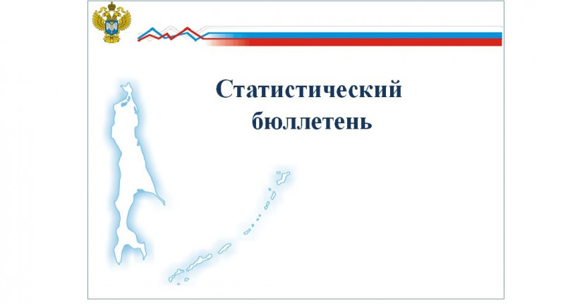 Выпущен статистический бюллетень «Дошкольные образовательные организации Сахалинской области за 2019 год».
